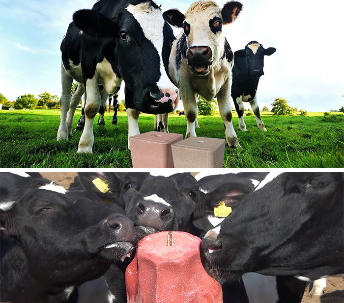 lorem ipsum dolor sit